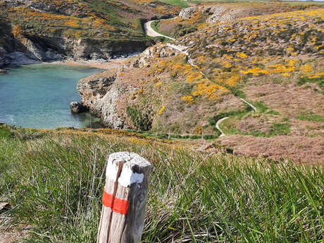 Jour 2/5 Arpentez la côte sauvage de la pointe des Poulains aux Aiguilles de Port Coton via la plage de Donnant