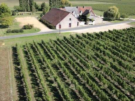 Domaine de la Plante d’Or Domaine de la Plante d’Or