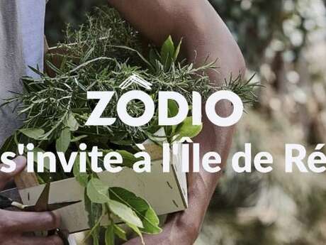 ZODIO île de Ré ZODIO île de Ré