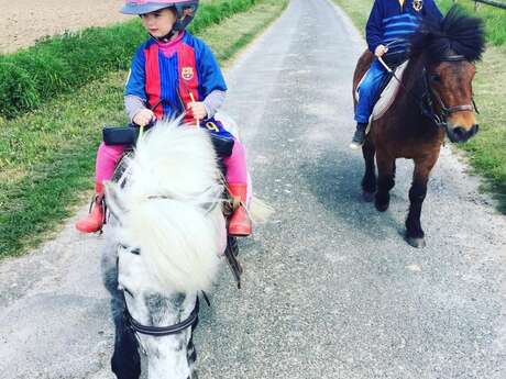 BALADE A PONEY - LES ALLÉES D'HARAMBURE