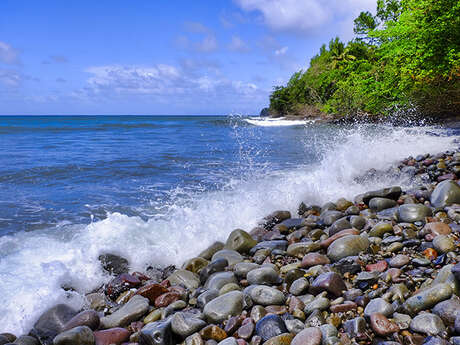 Plage de l'Anse Tamarinier