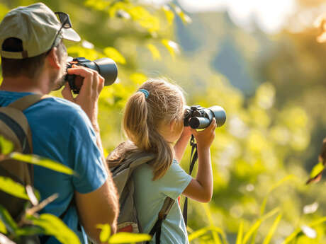 Observation ornithologique