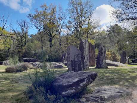 Menhirs et Landes de Monteneuf