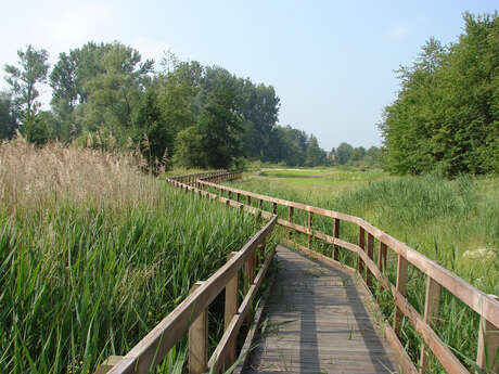 Promenade du Wachnet