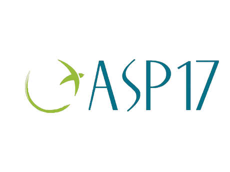 ASP 17