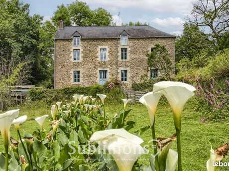 Le Moulin de Gueuzon