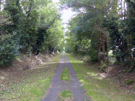 Radstrecke 5: Zwischen dem Arnoult-Tal und dem Kanal Charente-Seudre - 25 km