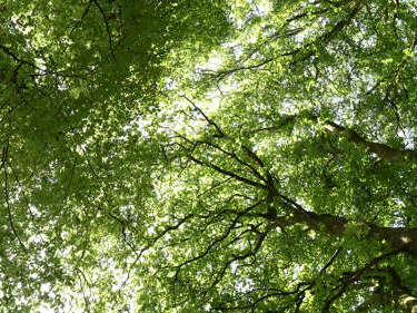 Les Monts de Barlots Les Monts de Barlots