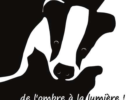 Exposition : « Le blaireau, de l’ombre à la lumière » Exposition : « Le blaireau, de l’ombre à la lumière »