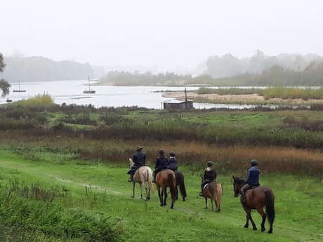 Les balades à cheval de Candé à Chaumont