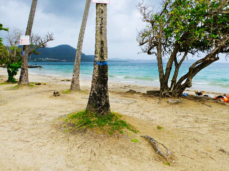 Plage de Gros-Raisin