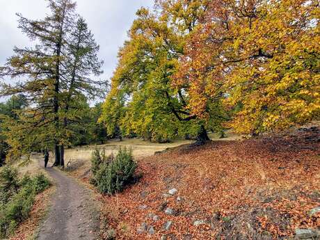 Canal de Malcros running