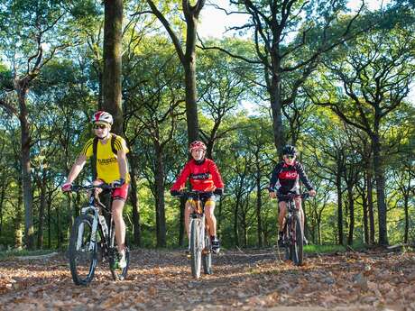VTT N°3 VTT N°3