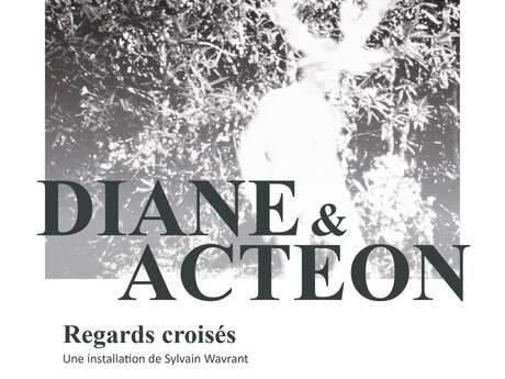 Exposition : DIANE & ACTÉON, REGARDS CROISÉS