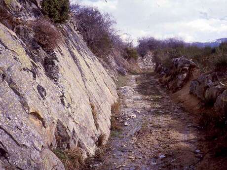 Les Hauts-Plateaux