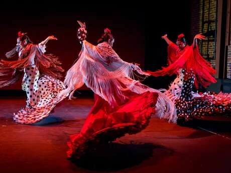 Festival Arte Flamenco - 05 juillet