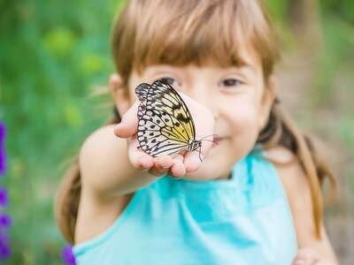 Ateliers d’éveil « Petits Papillons et jolies fleurs »