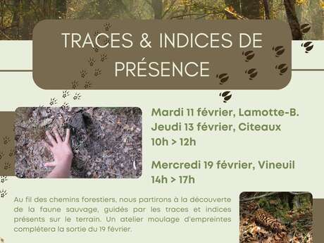 Traces & indices de présence