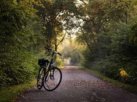 E-Bike Concept