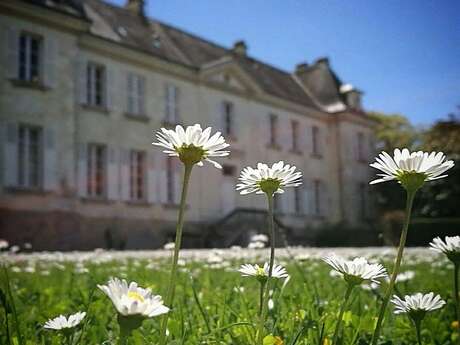 Le Château