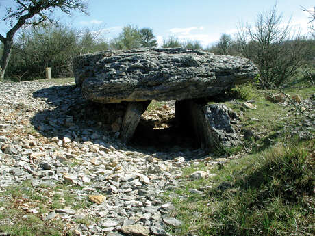 Le Dolmen de Changefege - VTT n°13