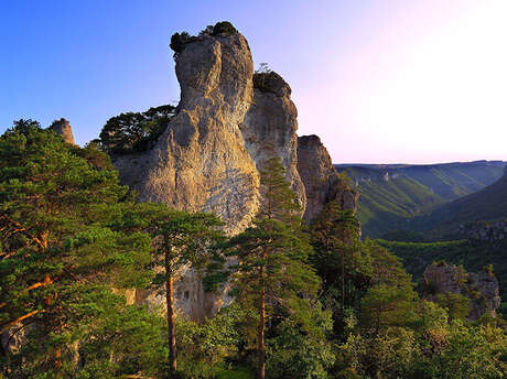 Mont Aigoual, de Causses en Gorges (1)