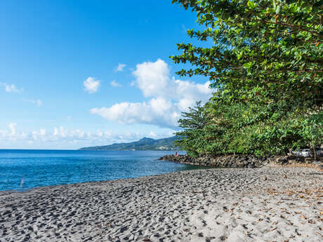 Plage de l'Anse Turin