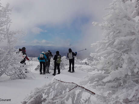 BENOIT COURANT - ACCOMPAGNATEUR EN MONTAGNE