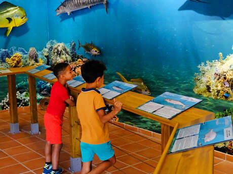 Sea Museum