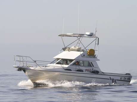 Tour Découverte de Belle-Ile : Atmos'Air Marine