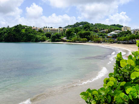 Plage des Raisiniers