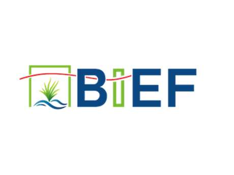 BIEF