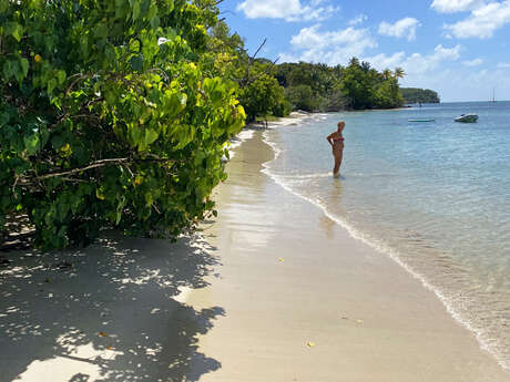 Plage de l'Anse Caritan 1