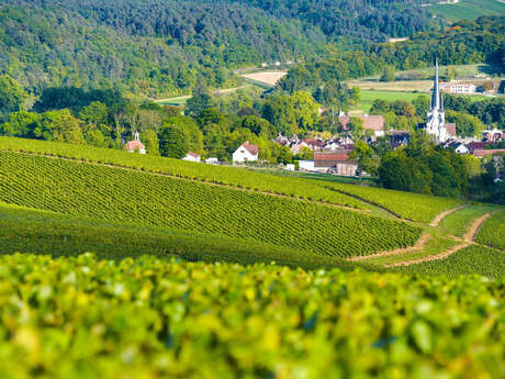 Route touristique du Champagne de la Cote des Bar