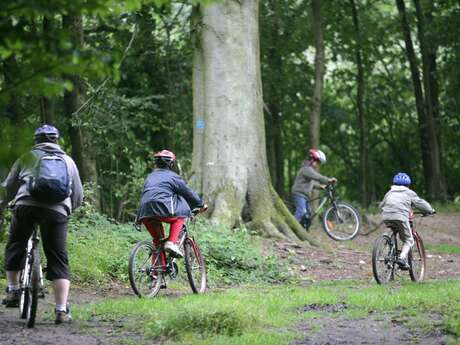 Les Futaies d'Olhain - Espace VTT-FFC des collines de l'Artois - Facile