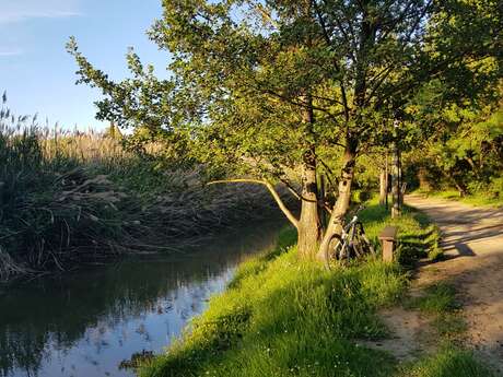 Les berges de l'Aude: Mayrevieille-Hippodrome de la Fajeolle-Le-Païcherou Les berges de l'Aude: Mayrevieille-Hippodrome de la Fajeolle-Le-Païcherou