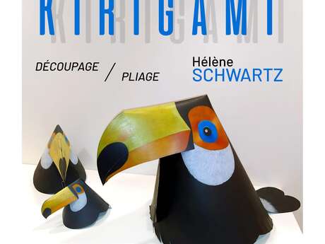 L’art du kirigami - Découpage et pliage par Hélène Schwartz L’art du kirigami - Découpage et pliage par Hélène Schwartz