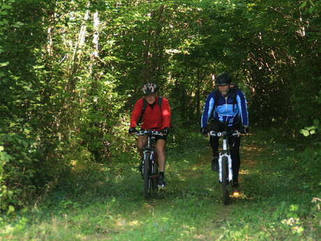VTT Circuit du Balcon de l'Armance VTT Circuit du Balcon de l'Armance
