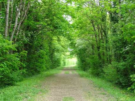 SORTIE NATURE : TOUTE UNE VIE DANS LE SOL !