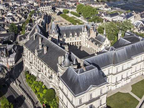 Visites découvertes du château royal de Blois