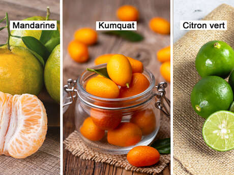 Mandarin / Kumquat / Lime