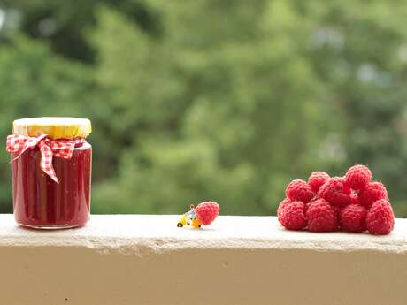 Bois Gourmand - Framboises d'Ici Bois Gourmand - Framboises d'Ici