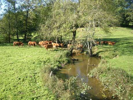 La Vallée de l'Abloux La Vallée de l'Abloux