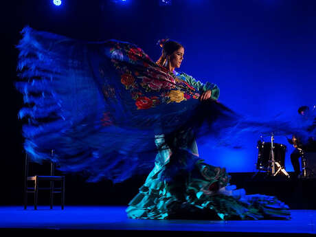 Festival Arte Flamenco - 06 juillet