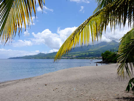 Plage de l'Anse Latouche