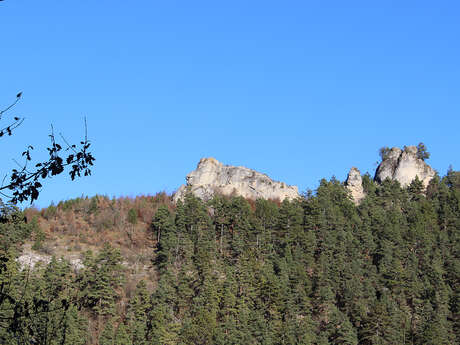 Le Lion de Balsièges