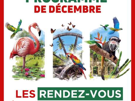 Programme de décembre (Zoo de Martinique)