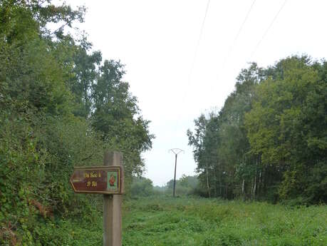 To Saint Rô’s Rock / Circuit 8 To Saint Rô’s Rock / Circuit 8