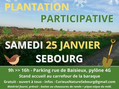 Plantation participative Le 25 janv 2025