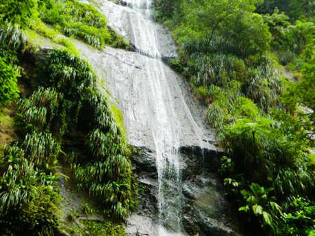 Cascade Anse Couleuvre